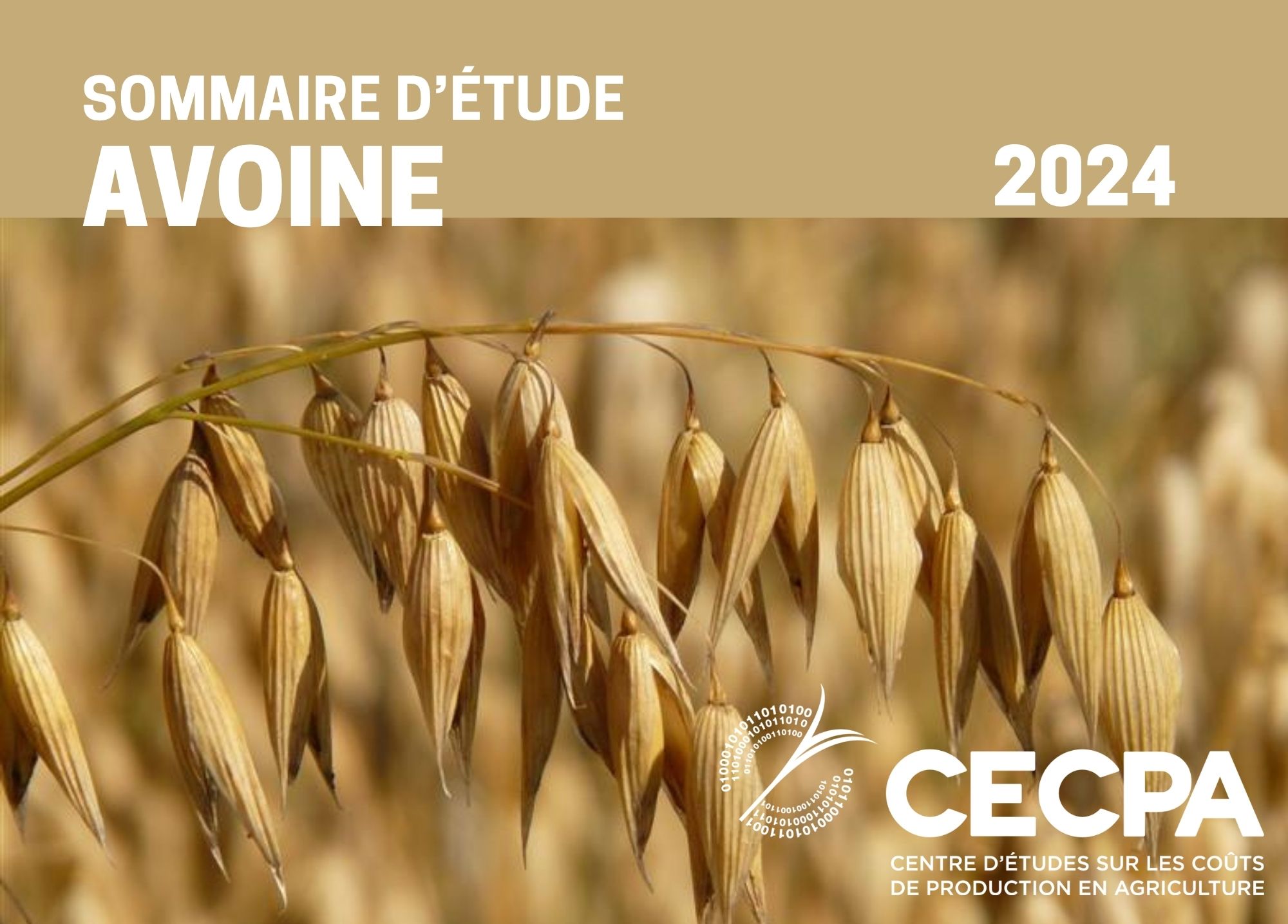 étude : SOMMAIRE - COÛT DE PRODUCTION - AVOINE 2024